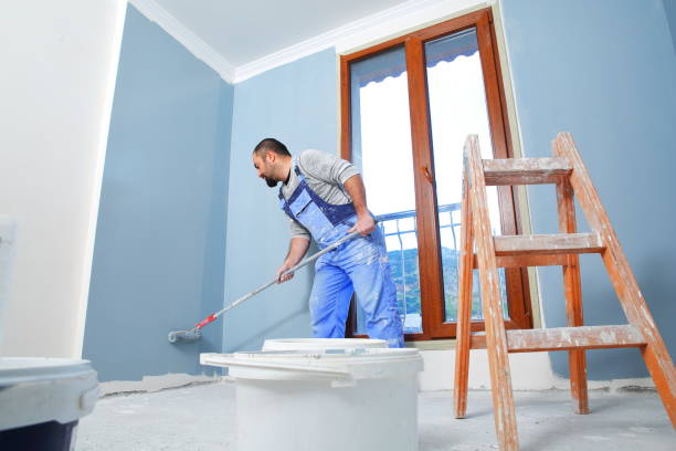 Best Water Damage & Mold Remediation  in Ventress, LA