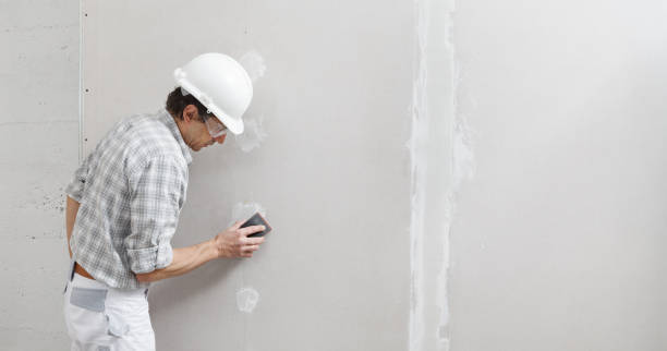 Professional Mold Removal in Ventress, LA