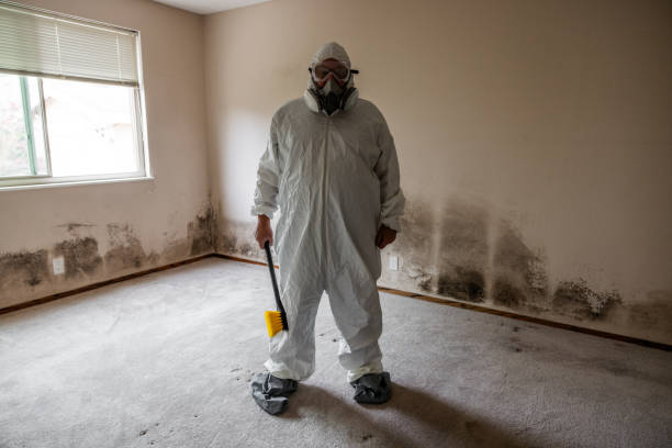 Asbestos and Lead Testing During Mold Inspection in Ventress, LA